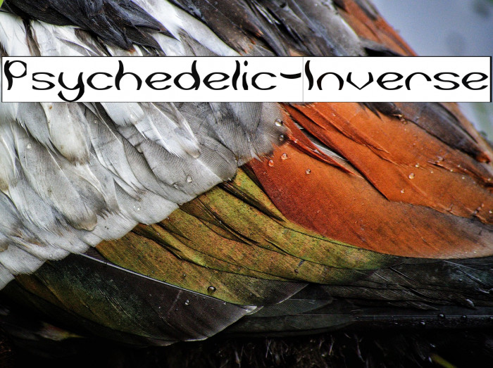 Psychedelic-Inverse Example 2