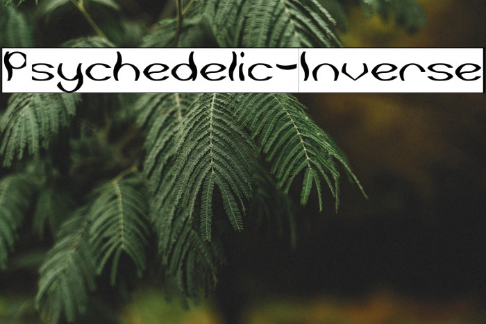 Psychedelic-Inverse Example 3