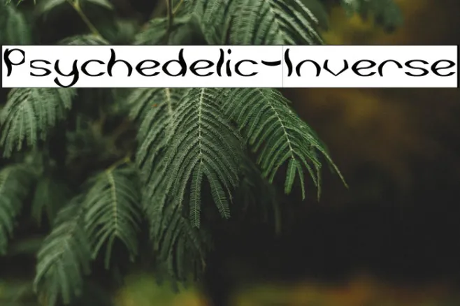 Psychedelic-Inverse Example 3