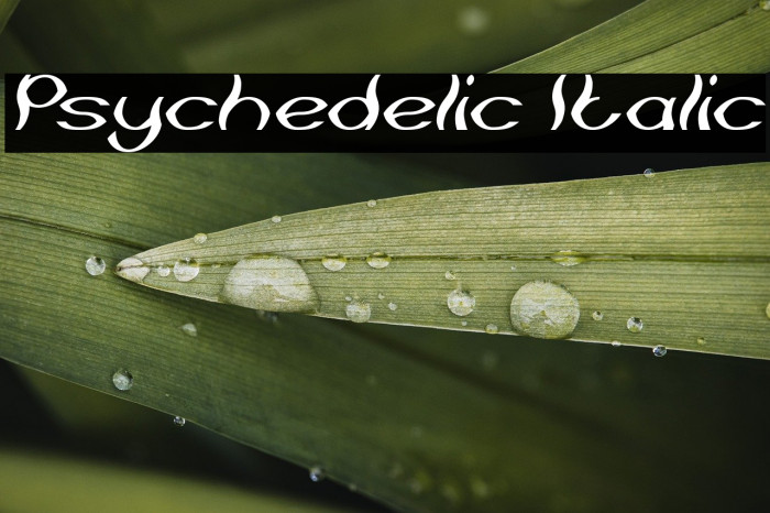 Psychedelic Italic Example 1