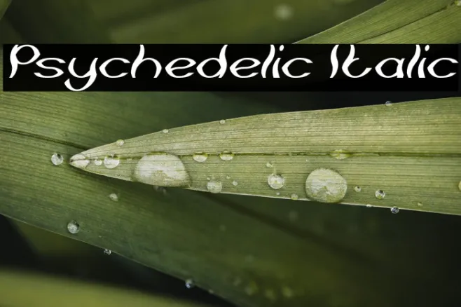 Psychedelic Italic Example 1