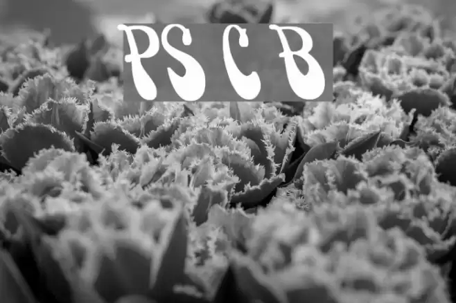 PsychedelicSmoke Cn Bold Font examples