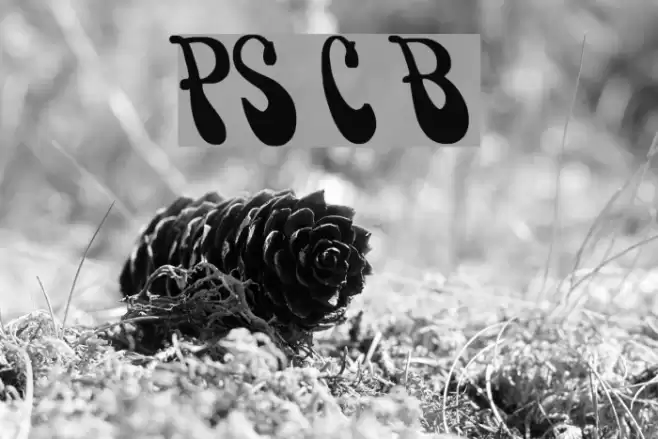 PsychedelicSmoke Cn Bold Font examples