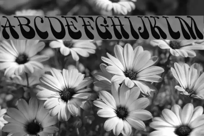 PsychedelicSmoke Font examples