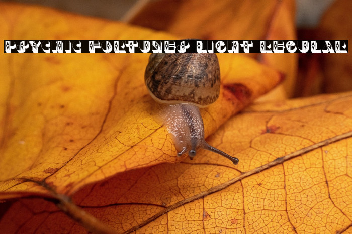 Psychic Fortunes Light Regular Example 1