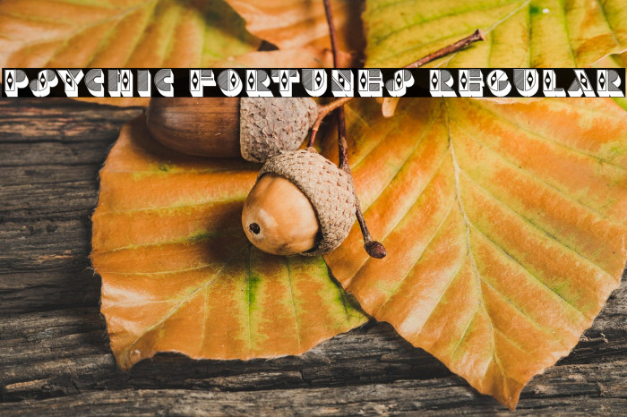 Psychic Fortunes Regular Example 2