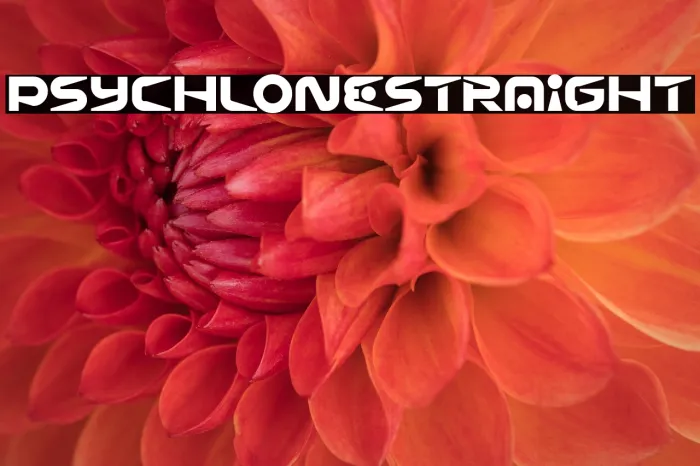 Psychlone Straight Example 1