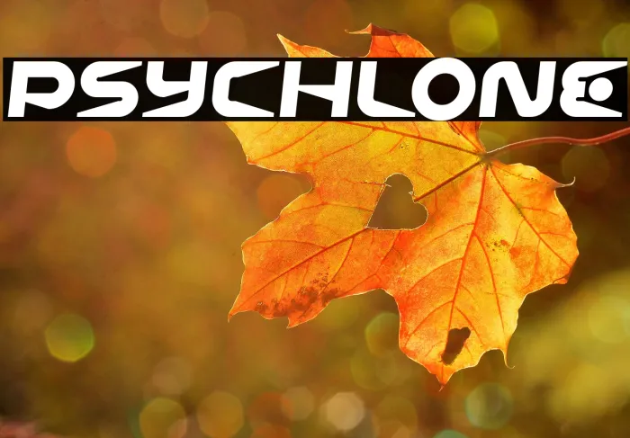 Psychlone Example 2