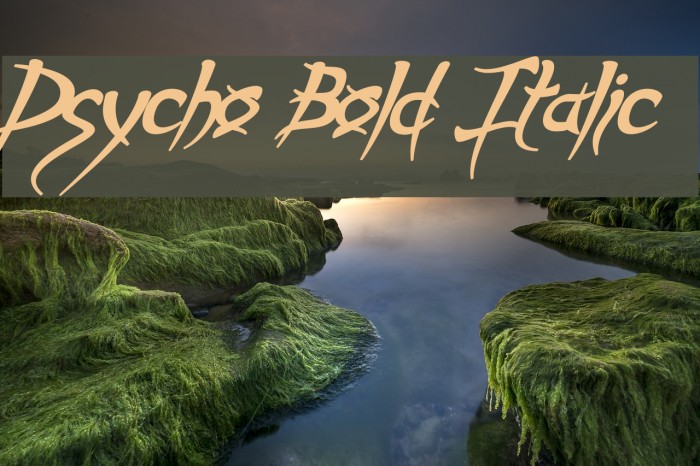 Psycho Bold Italic Polices examples