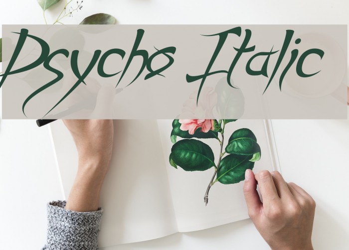 Psycho Italic Font examples