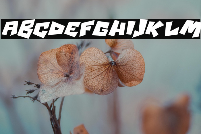 Psycho RObots Italic Example 1