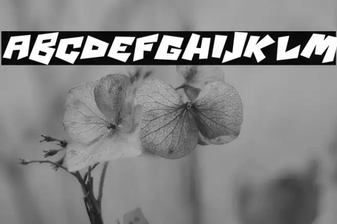 Psycho RObots Italic Polices examples