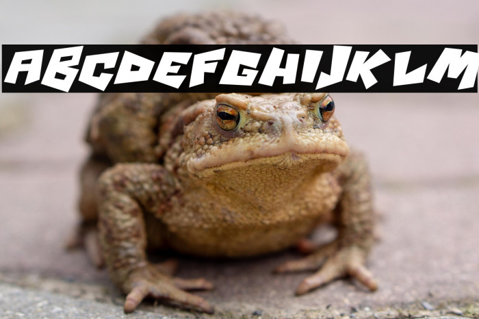 Psycho RObots Italic Example 3