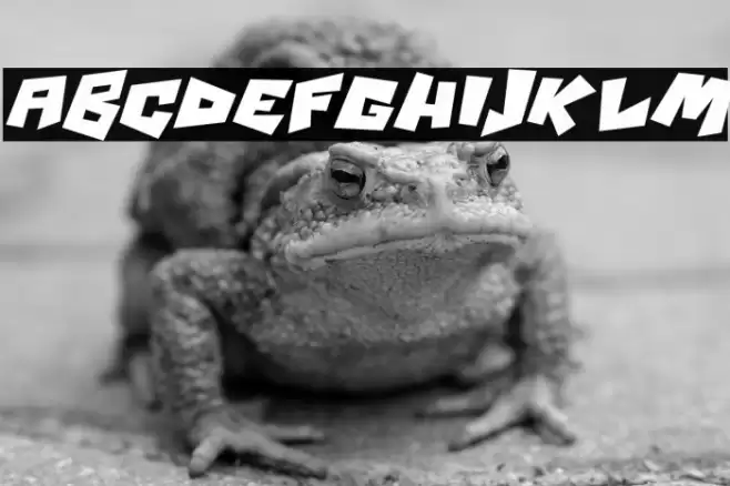 Psycho RObots Italic Polices examples