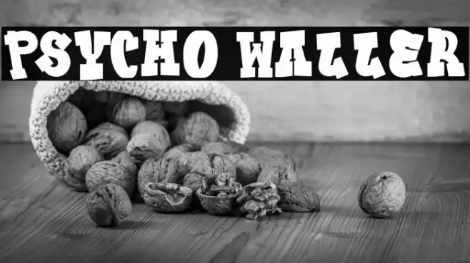 Psycho Waller フォント examples