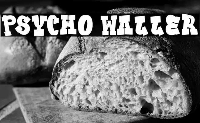 Psycho Waller フォント examples