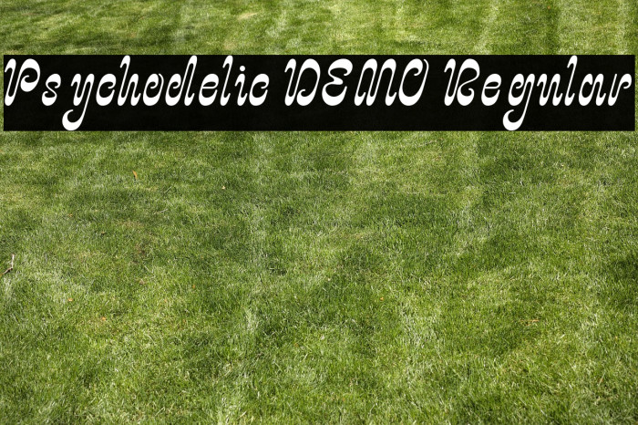 Psychodelic DEMO Regular Example 1