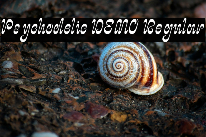 Psychodelic DEMO Regular Example 2