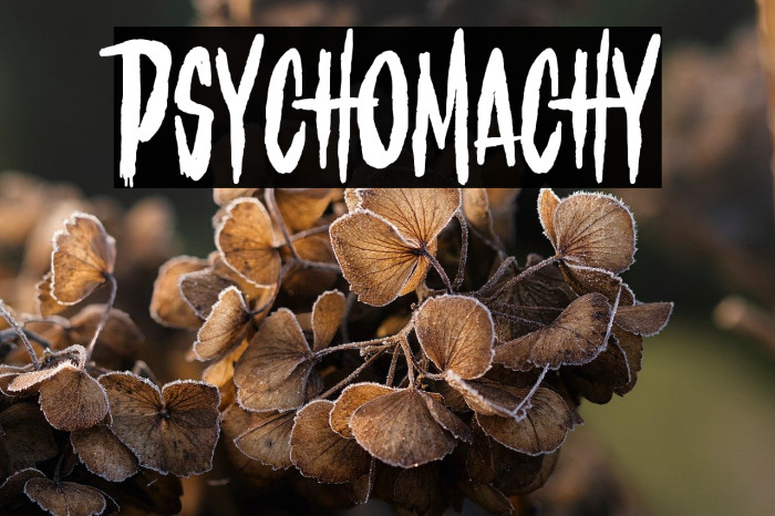 Psychomachy Example 3