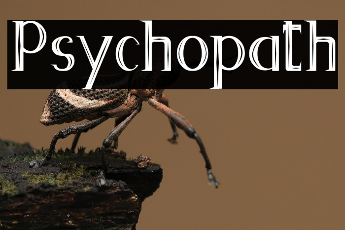 Psychopath Example 2