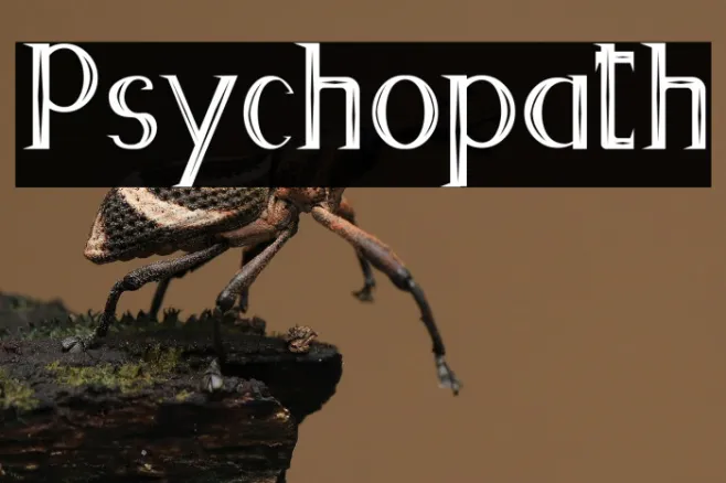 Psychopath Example 2