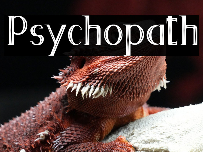 Psychopath Example 3