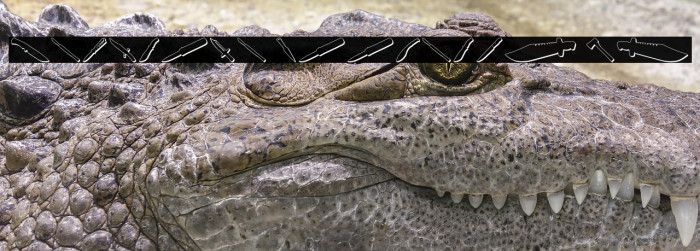 Psycho's Toolshed 3D Example 2