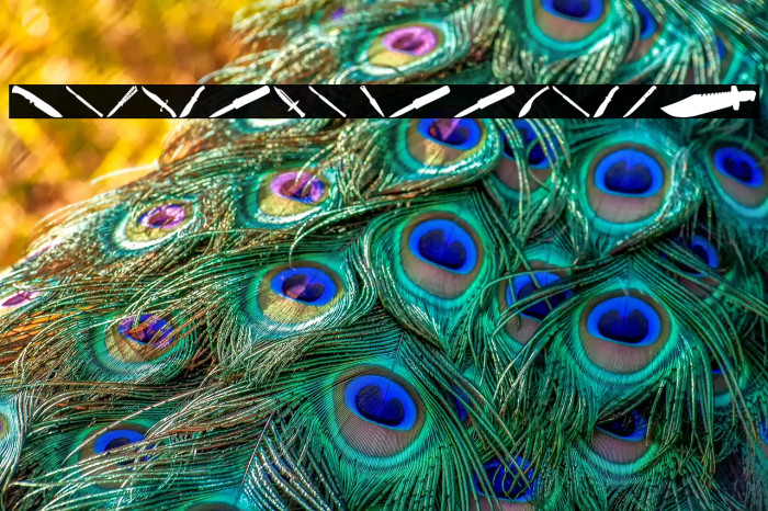 Psycho's Toolshed Example 1