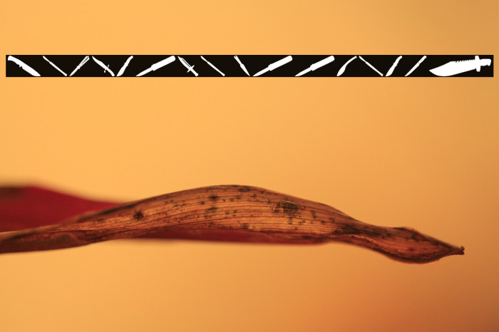 Psycho's Toolshed Example 3