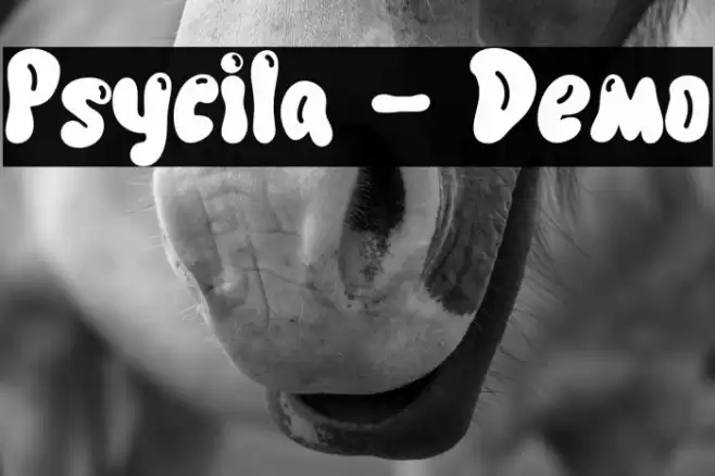 Psycila - Demo Шрифта examples