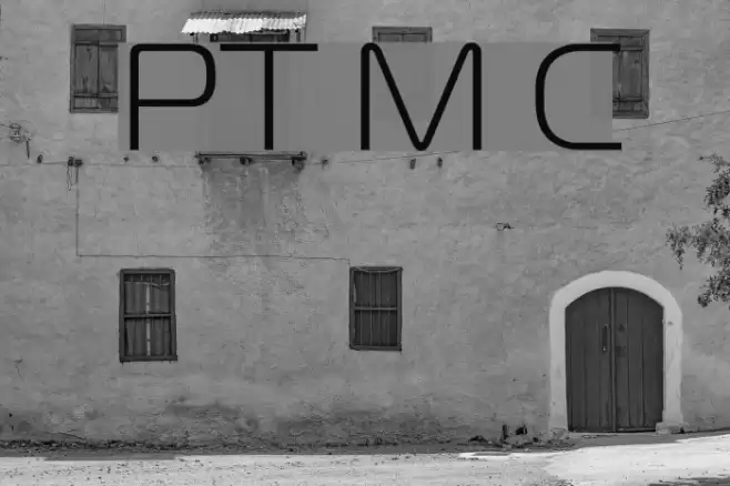 PT Magistral Cyrillic Font examples