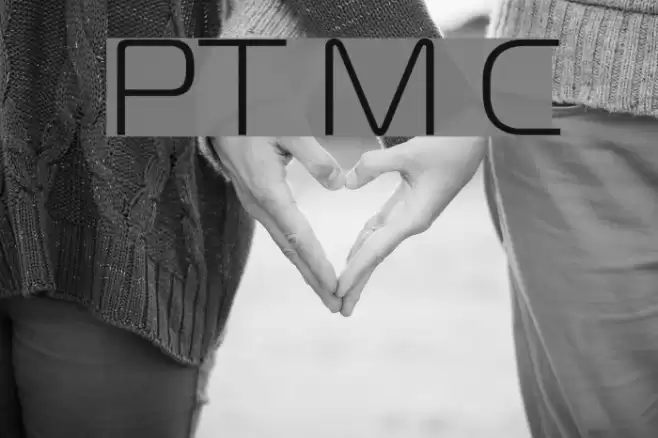 PT Magistral Cyrillic Font examples