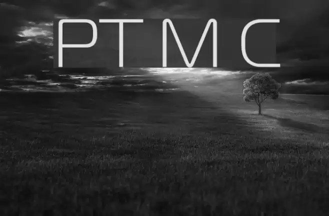 PT Magistral Cyrillic Font examples