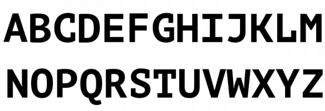 PT Mono Bold フォント 大文字