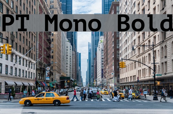 PT Mono Bold Font examples