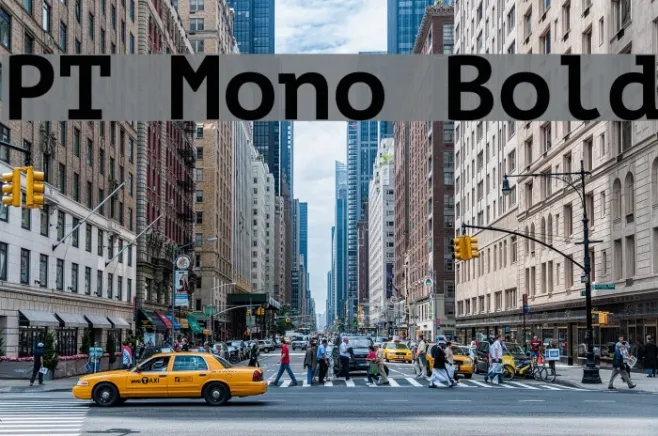 PT Mono Bold Example 1
