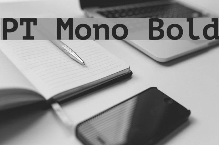 PT Mono Bold Font examples