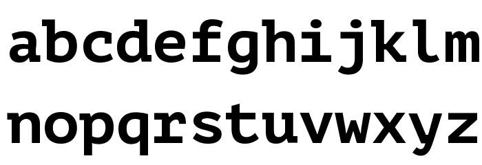 PT Mono Bold Font LOWERCASE
