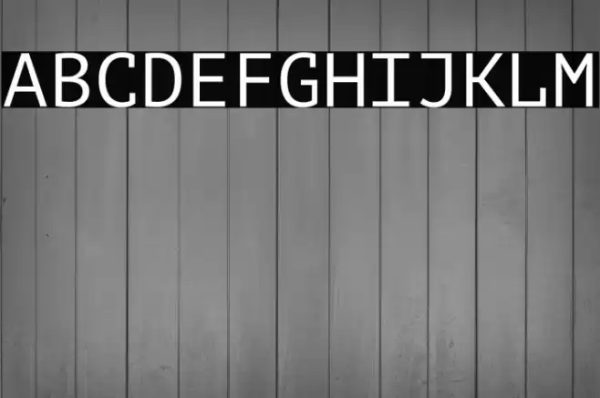 PT Mono Font examples