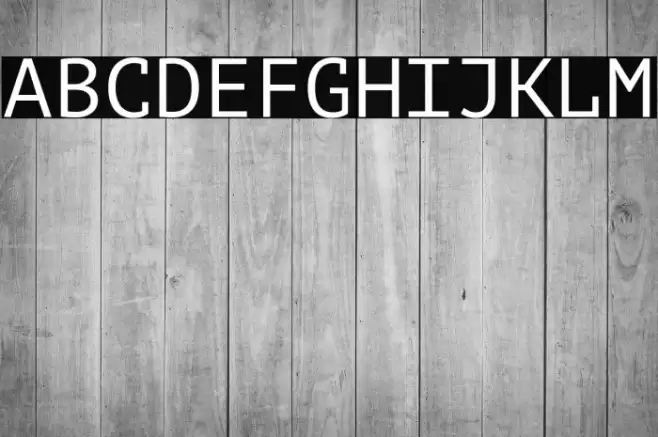 PT Mono Font examples