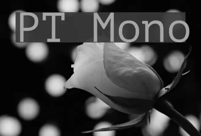 PT Mono Font examples