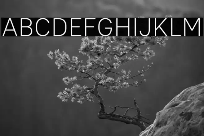 PT Root UI Light Font examples