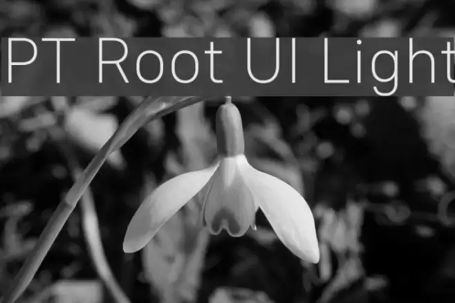 PT Root UI Light Font examples