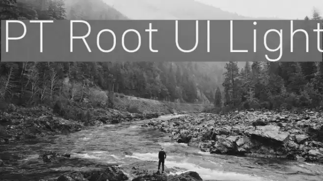 PT Root UI Light Font examples