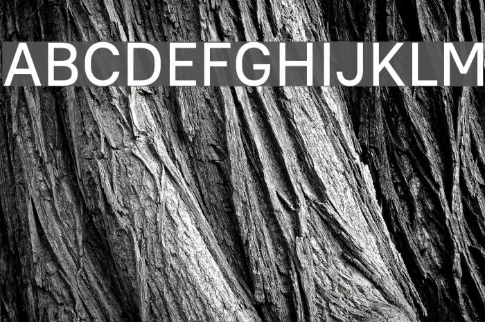 PT Root UI Medium Example 1