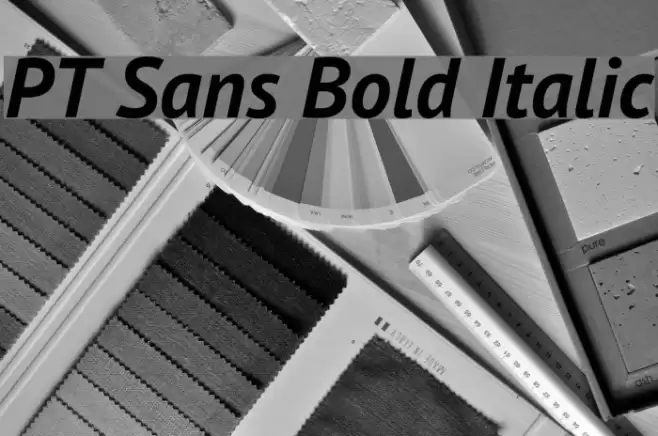 PT Sans Bold Italic Font examples