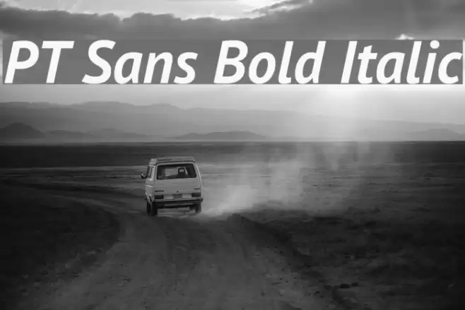 PT Sans Bold Italic Font examples