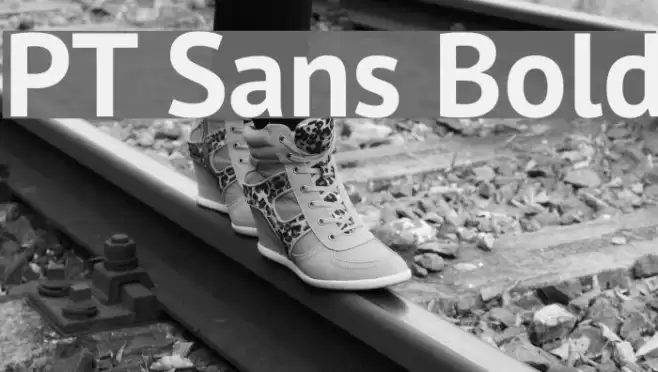 PT Sans Bold Font examples