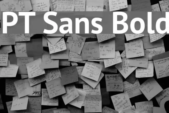 PT Sans Bold Font examples