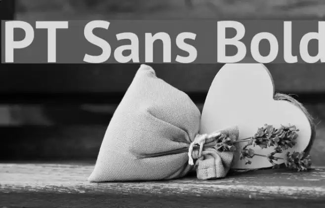 PT Sans Bold Font examples